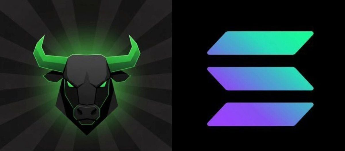 Memecoin $ANSEM تقریباً 5 برابر در هفته گذشته افزایش یافته است — @BlackBullSol منجر به افزایش سولانا Memecoin