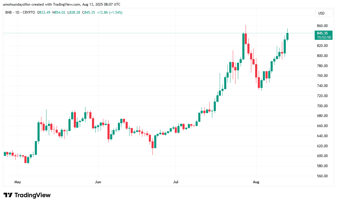 BNB/USD 1D Price Chart|Source: TradingView