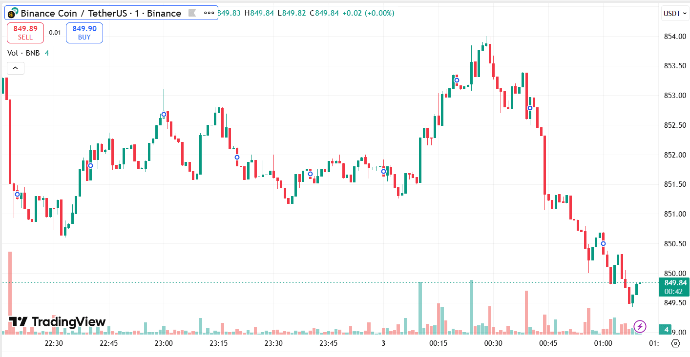 BNB Coin Price Chart | Source: TradingView