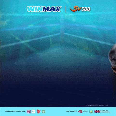 winmax sv388 winbox vn _ 480px.gif
