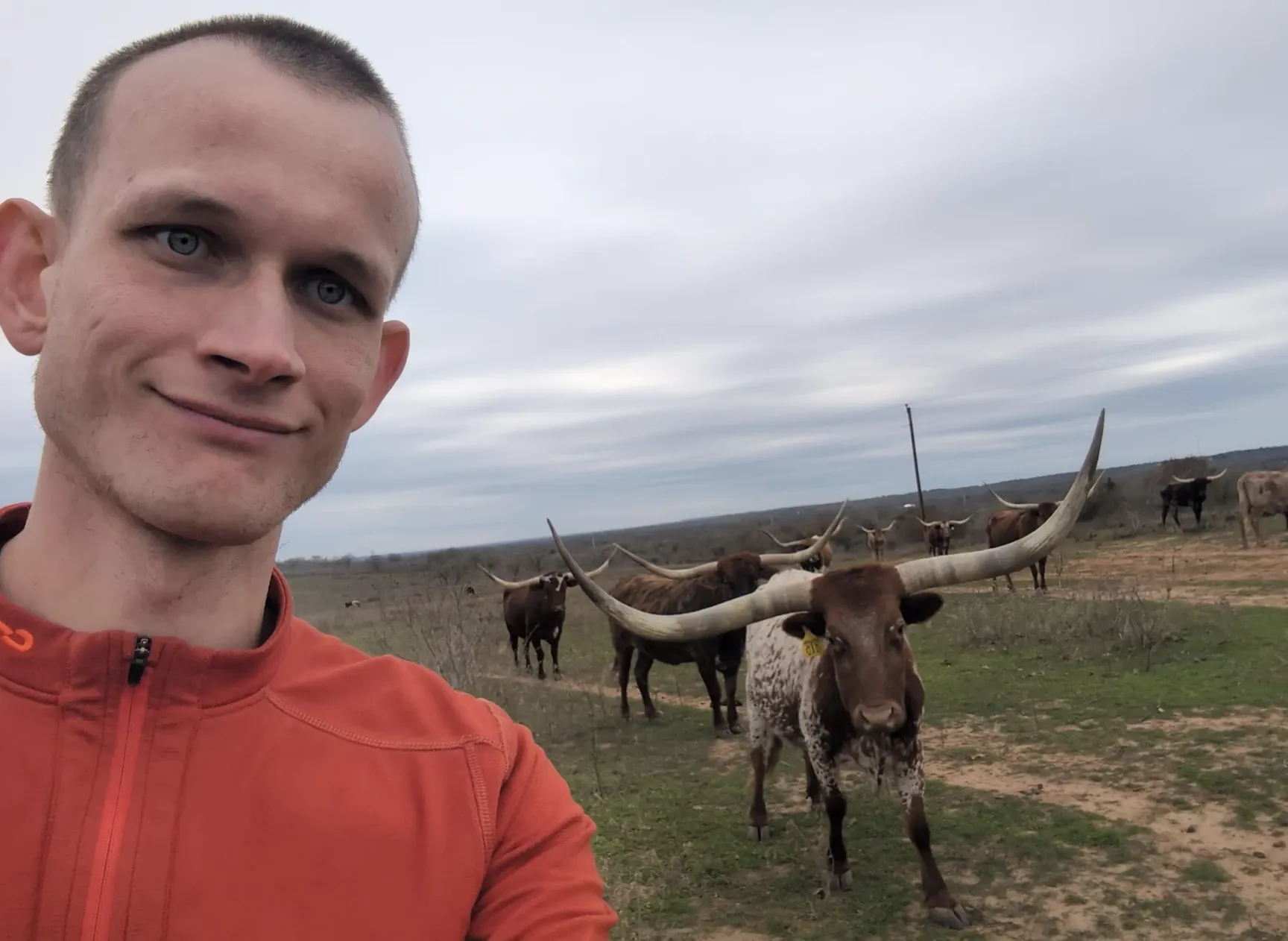 Vitalik Buterin in Texas next to some cows