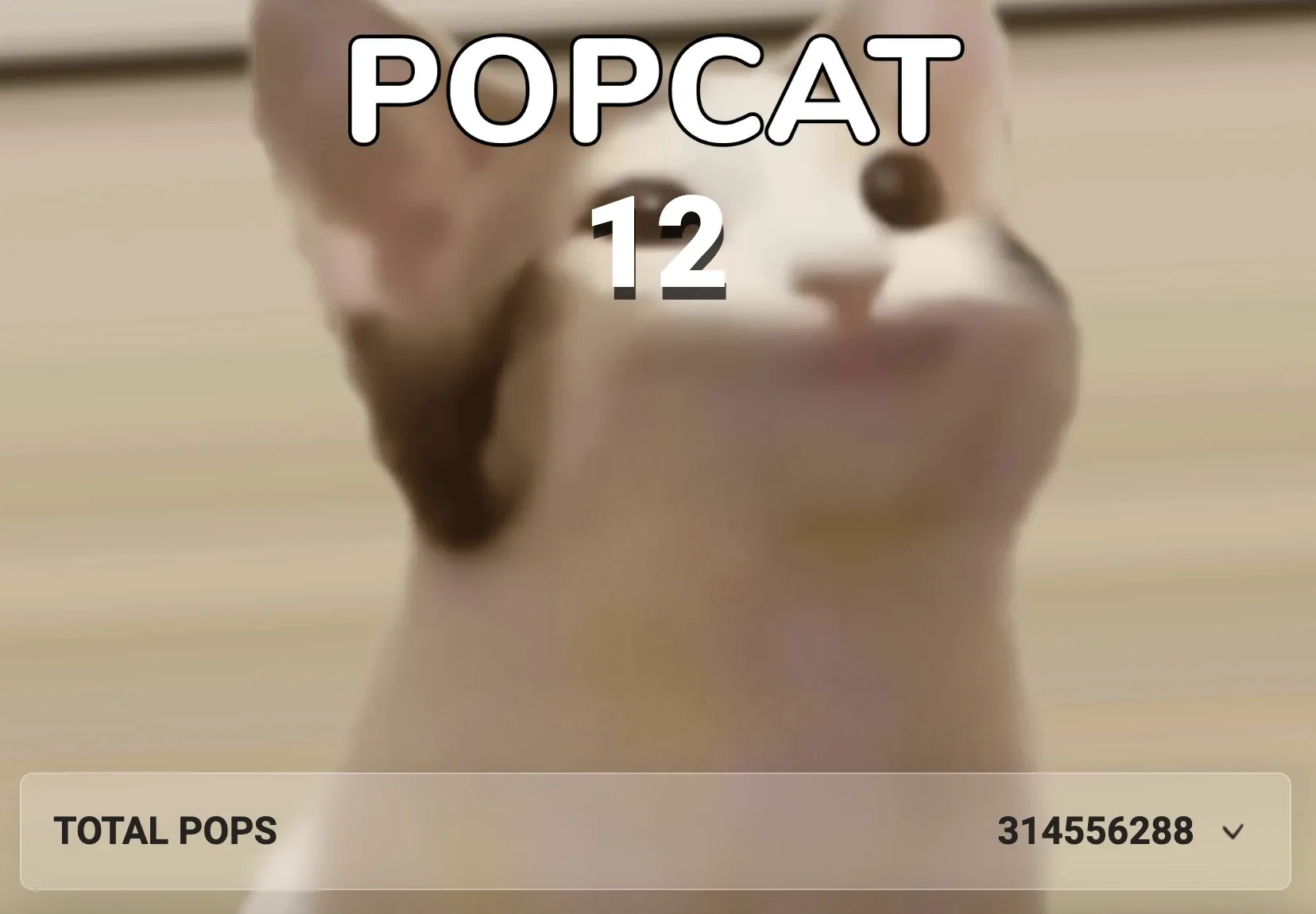 POPCAT's website page with its clicker game