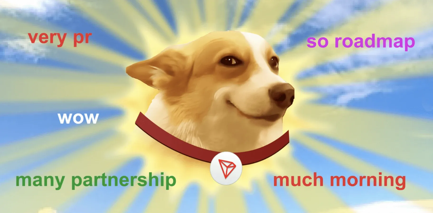 SUNDOG meme homepage