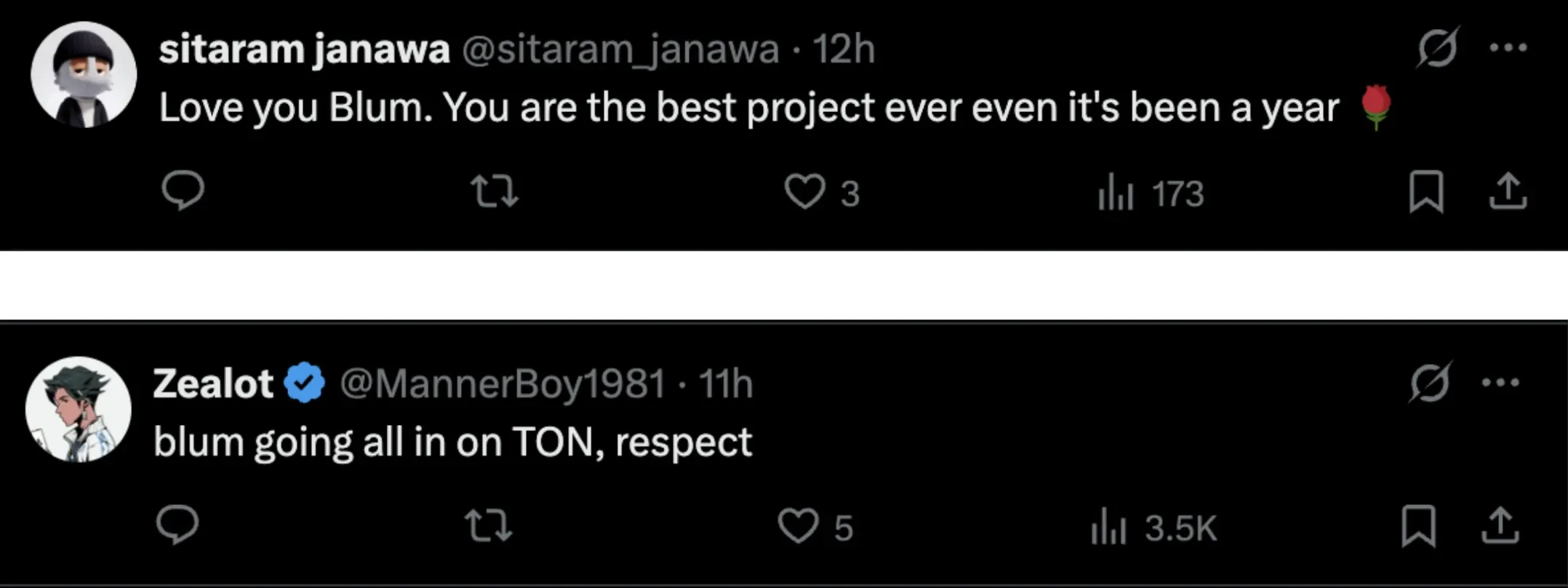 Community reactions to BLUM TGE announcement