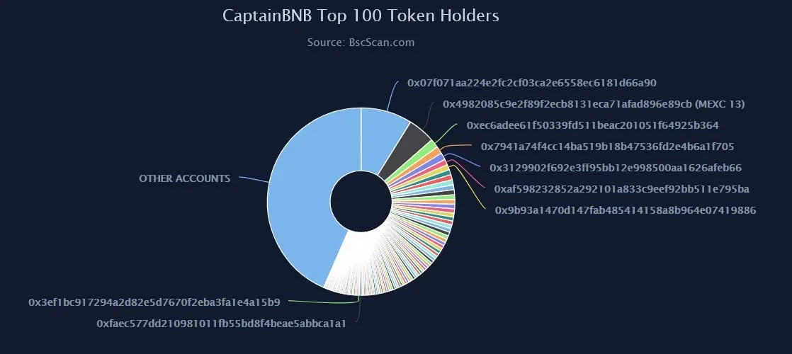 Biggest holders of the CaptainBNB memecoin