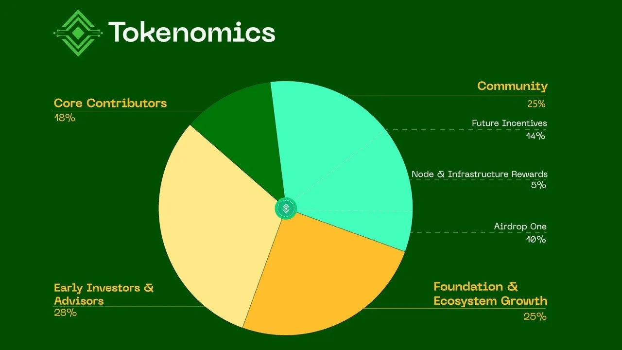 Breakdown of NodeGo's GO token allocations