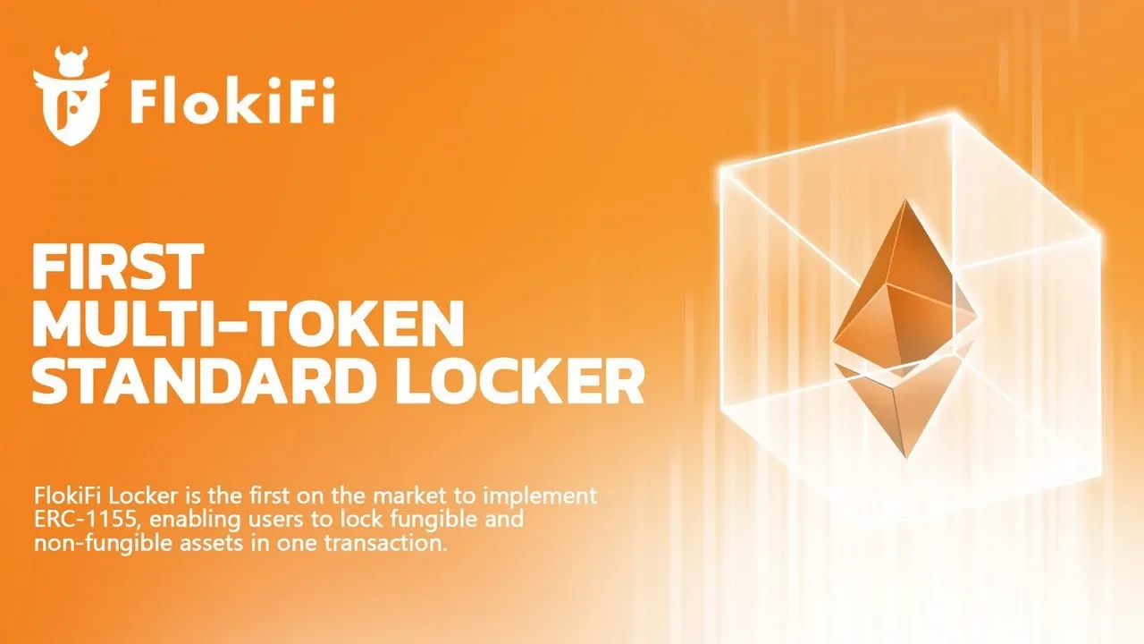 Details of the FlokiFi Locker