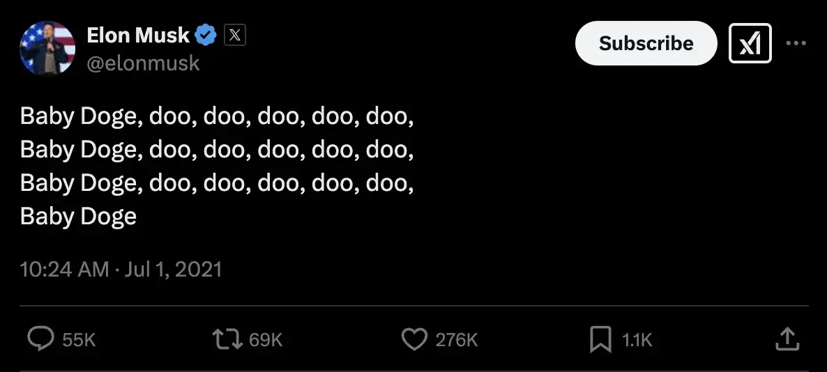 Elon Musk tweet BabyDoge doo doo doo