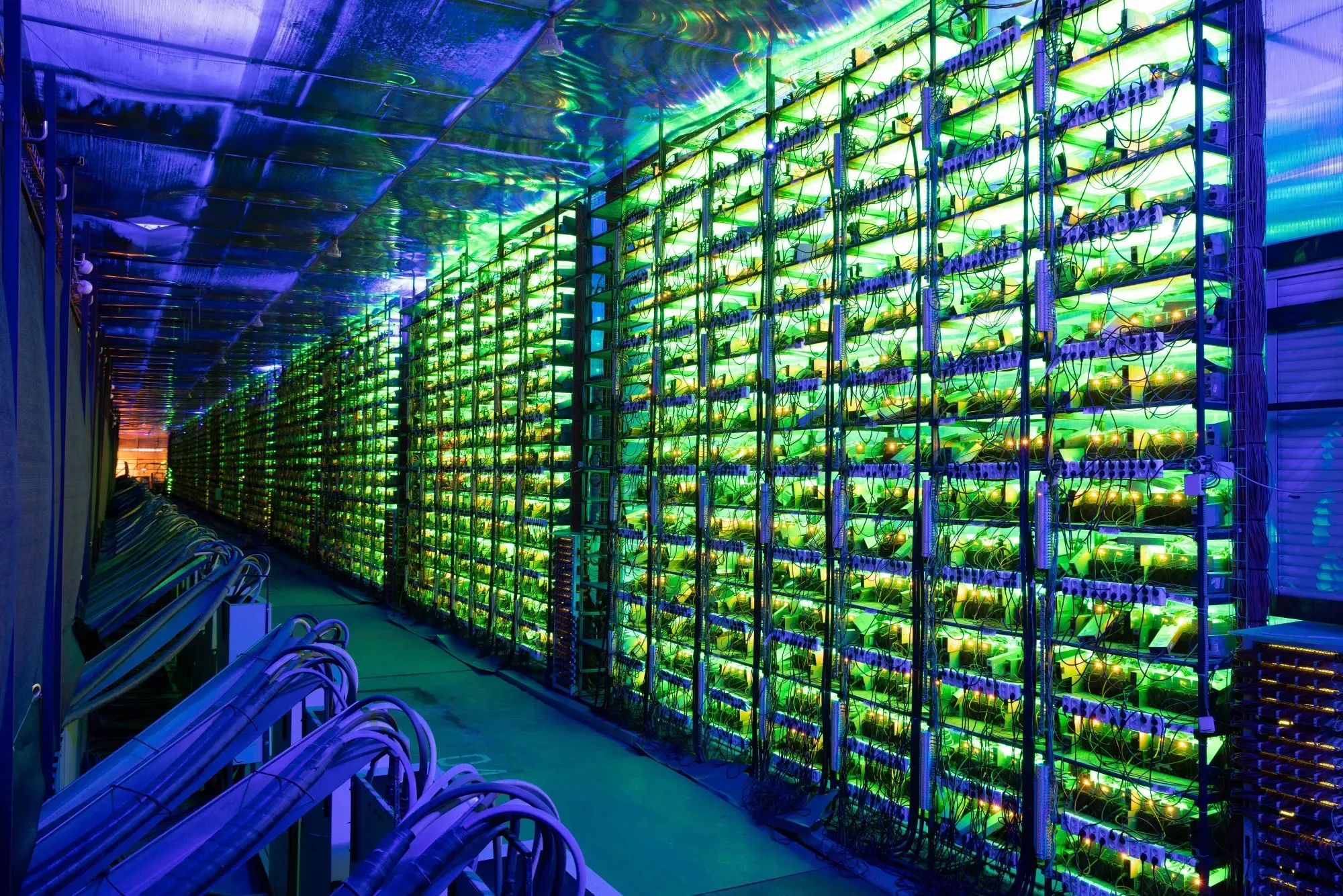 Industrial Bitcoin Mining Rig illuminated