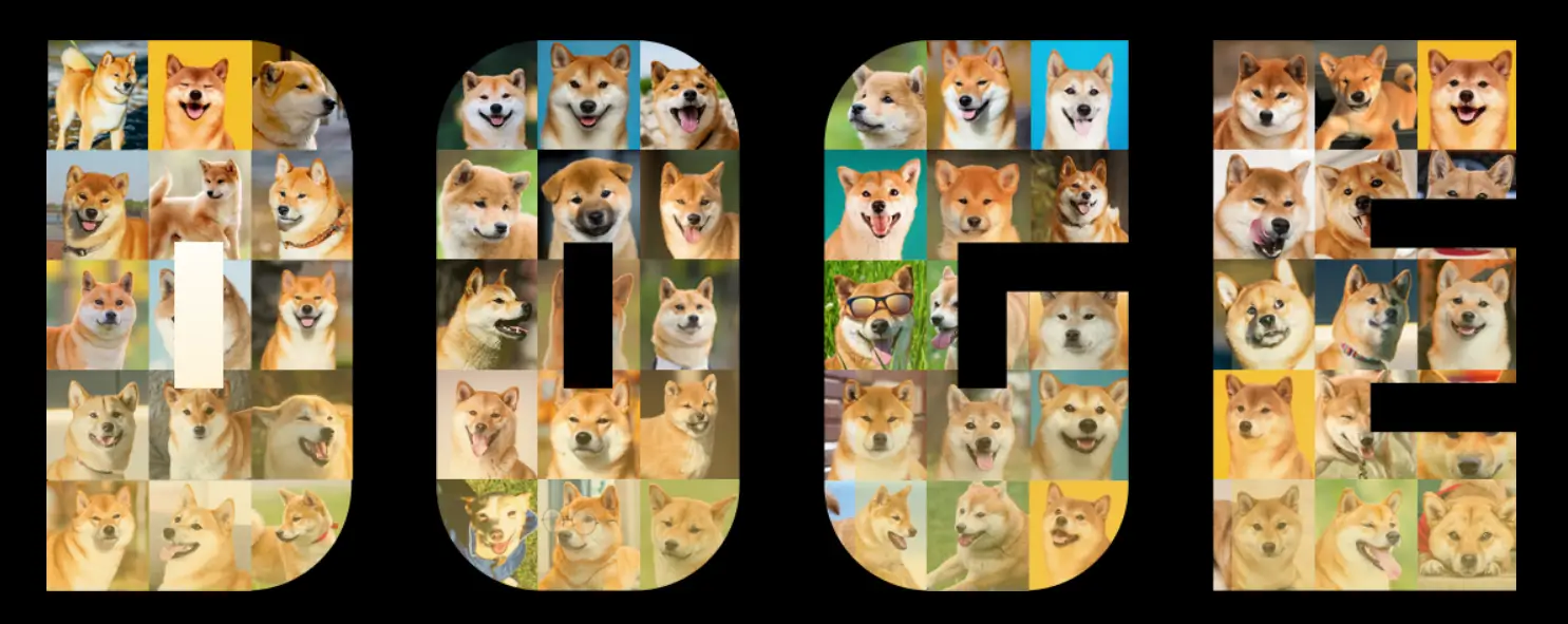 DOGEcoin -DOGE 